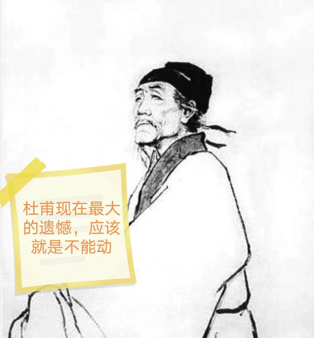 石壕吏原文及翻译赏析（石壕吏原文及注释）