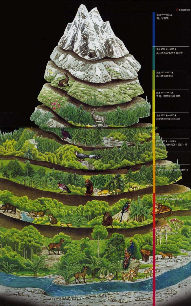 大林寺桃花白居易古诗赏析（大林寺桃花解释意思）
