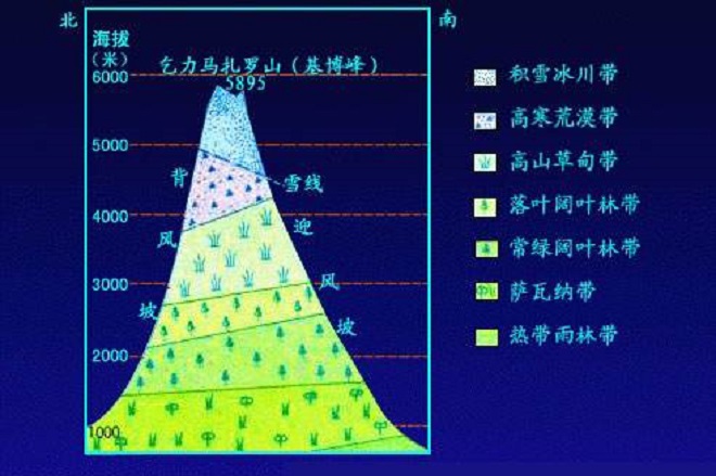 大林寺桃花白居易古诗赏析（大林寺桃花解释意思）