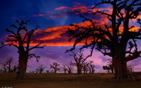海天一色的唯美句子的含义（适合海边抒情的诗词分享）