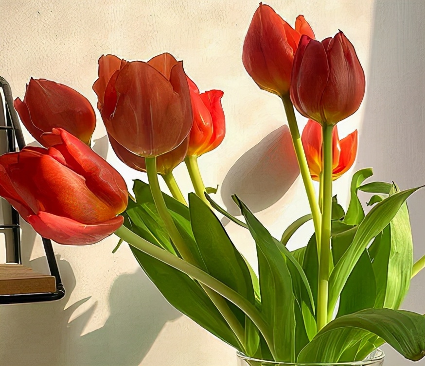 快乐的句子经典语句（简单生活心态的句子）