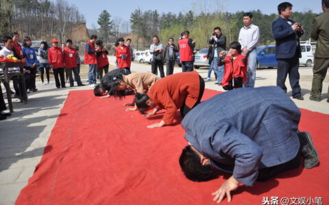 感恩父母的诗句（感恩父母的精辟句子）