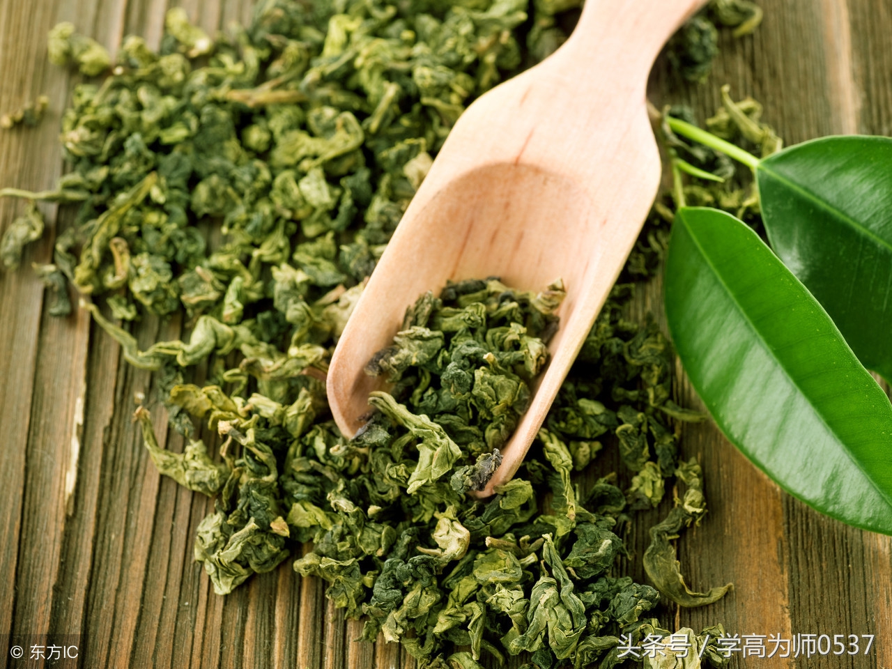 喝茶的诗句经典语录（最经典饮茶诗句赏析）