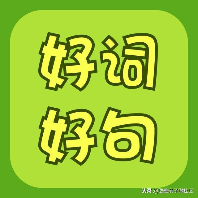 描写森林的优美段落（森林的环境描写优美）