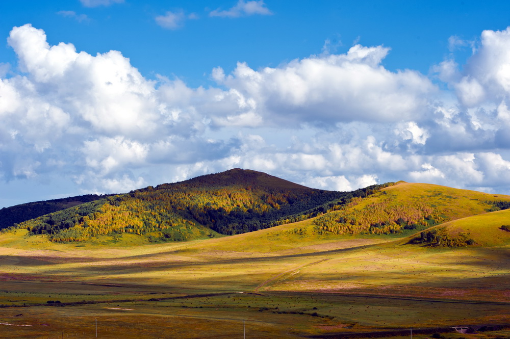 关于沙漠的诗句有哪些（赞美沙漠壮观的句子）