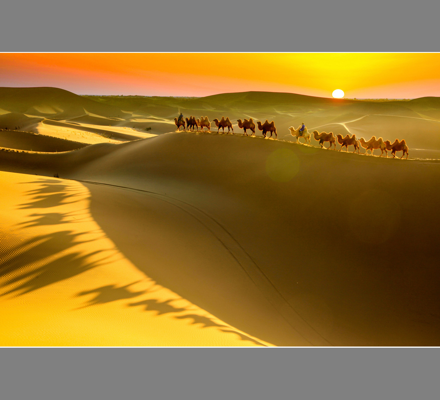 关于沙漠的诗句有哪些（赞美沙漠壮观的句子）