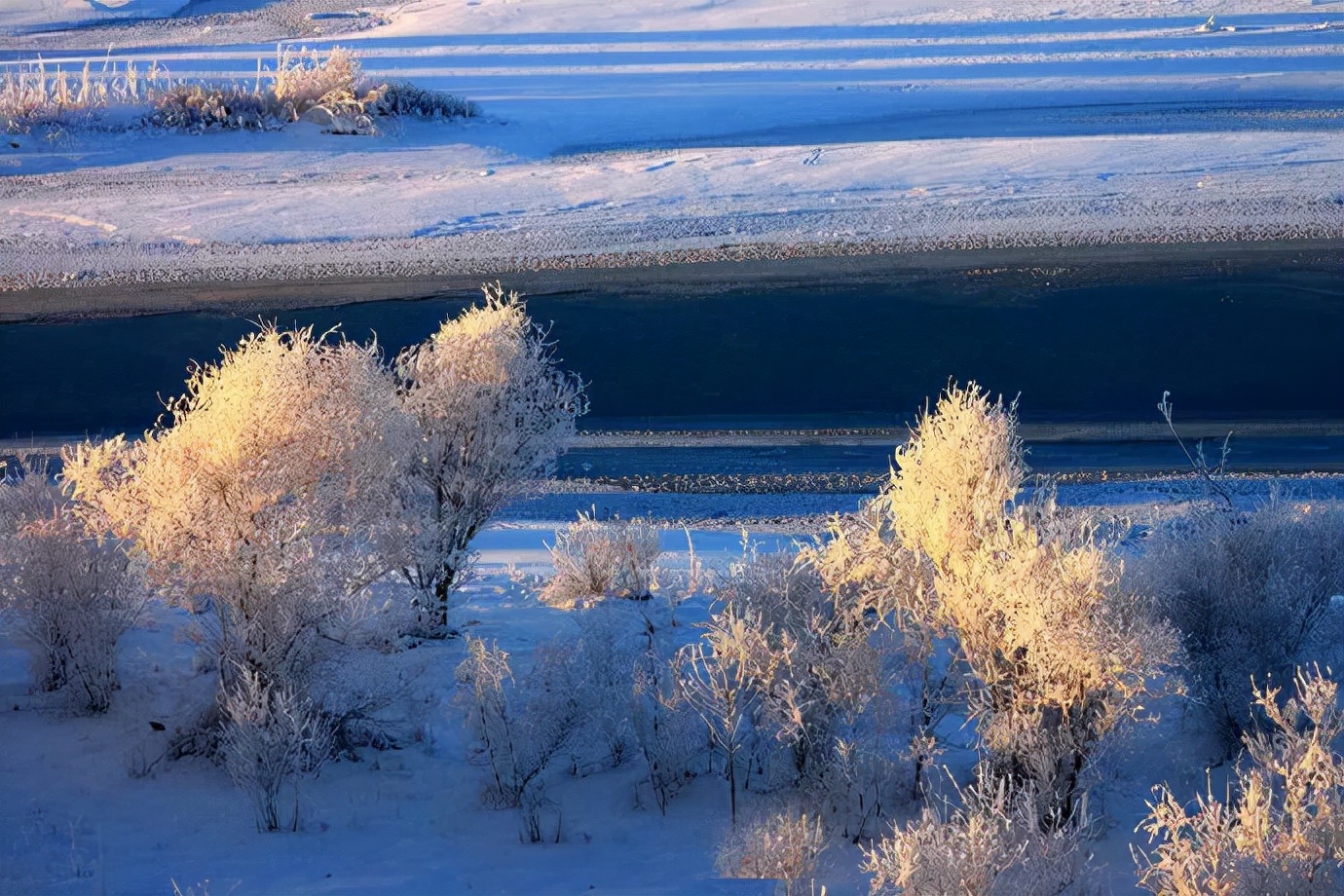 关于沙漠的诗句有哪些（赞美沙漠壮观的句子）