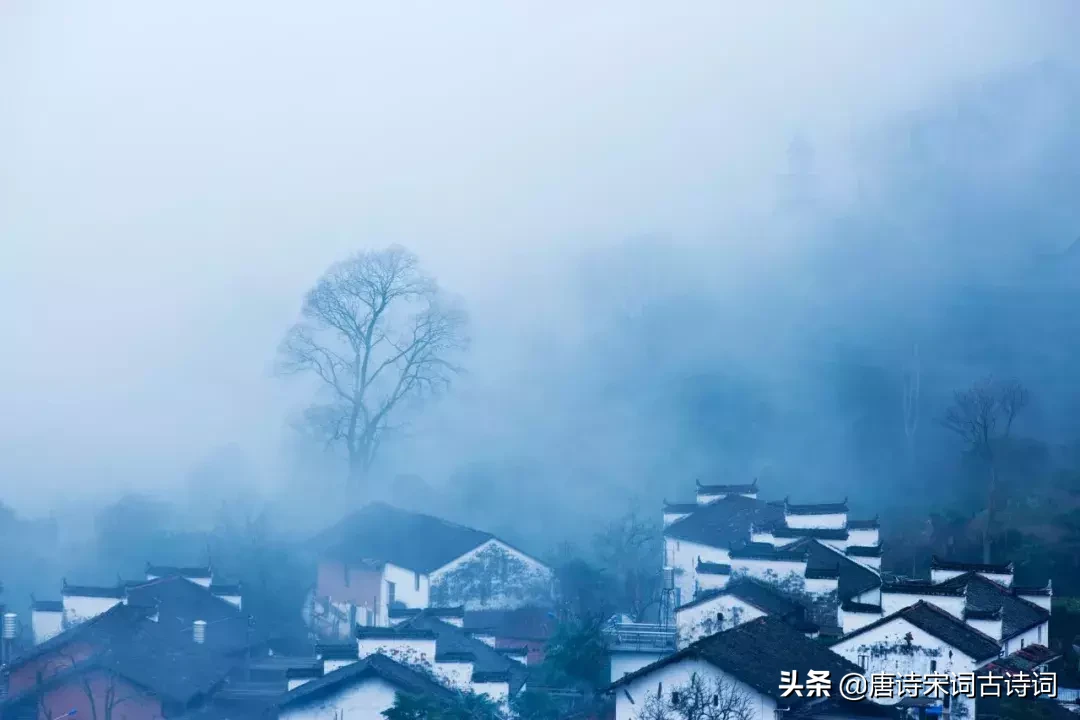 人面桃花的意思是什么（人面桃花的寓意启示）