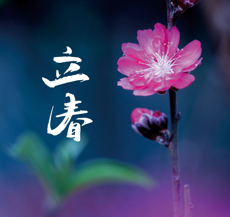 关于立春的诗句古诗（立春的古诗词名句）