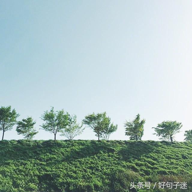 让人感动到哭的句子（送给女朋友一段感动到哭的话）