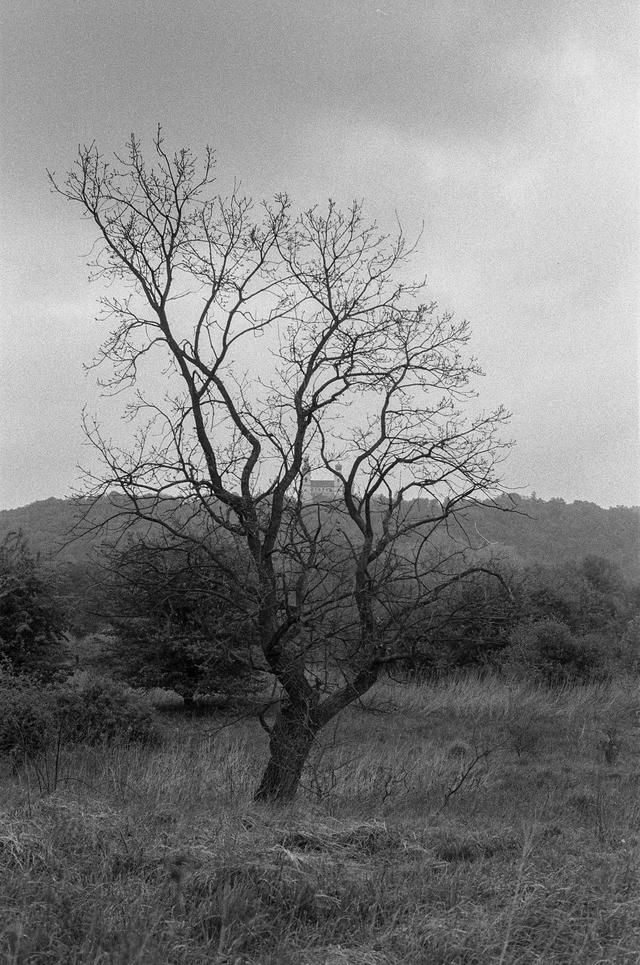 赞美母亲的诗歌有哪些（有关母亲的诗词欣赏）