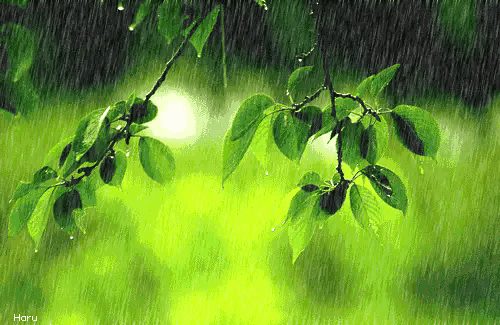 形容雨的诗句唯美（描写雨的名言名句）