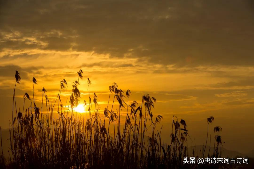 描写秋天的语句摘抄（关于描写秋天的优美诗词）