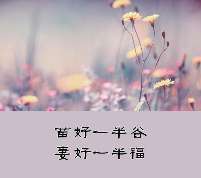 不养儿不知父母恩整句（蕴含深意的人生感悟名句）