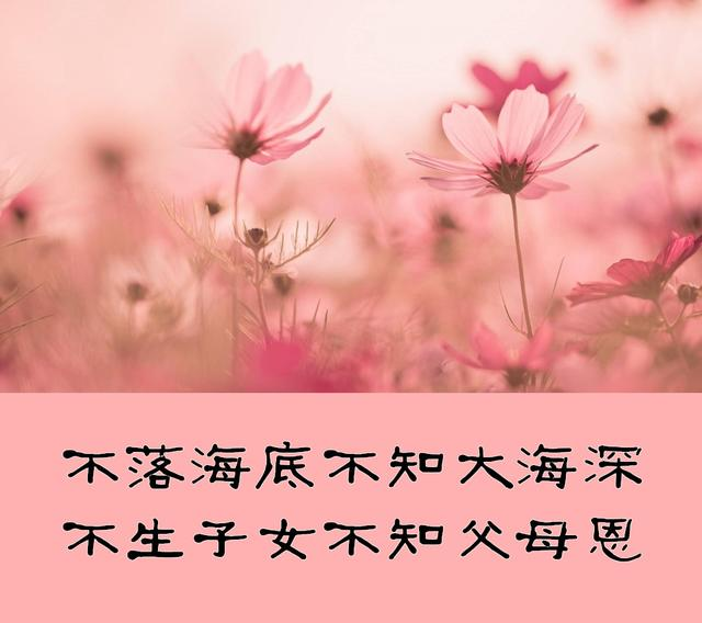不养儿不知父母恩整句（蕴含深意的人生感悟名句）