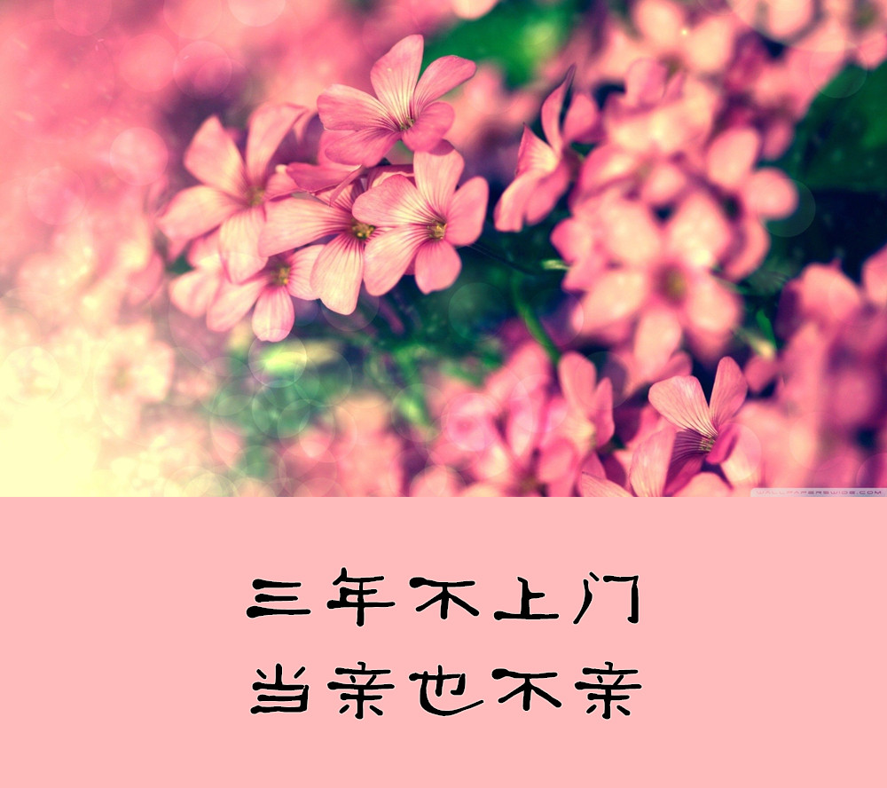 不养儿不知父母恩整句（蕴含深意的人生感悟名句）