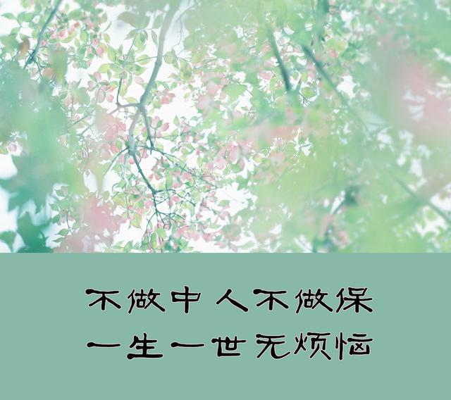 不养儿不知父母恩整句（蕴含深意的人生感悟名句）