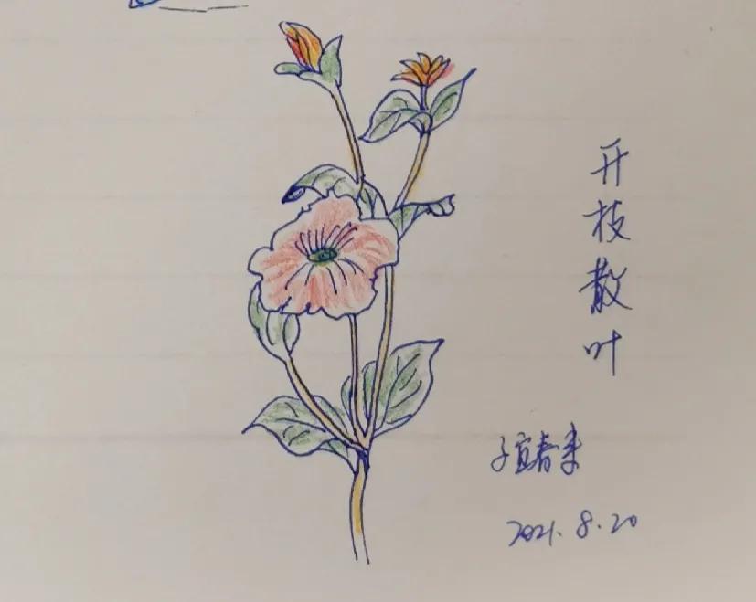树立志向的名言警句（关于坚定志向的名言警句 ）