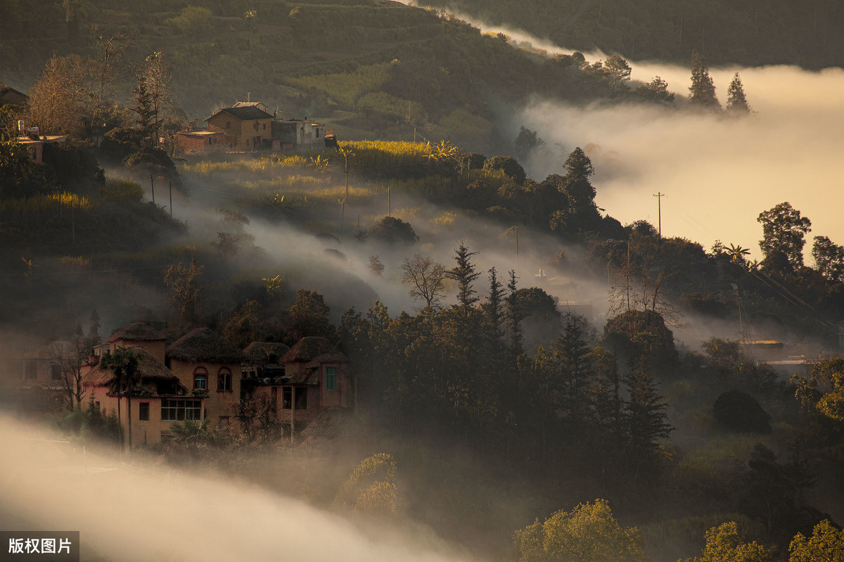 关于饮茶的诗句（悠闲自在饮茶的诗词）