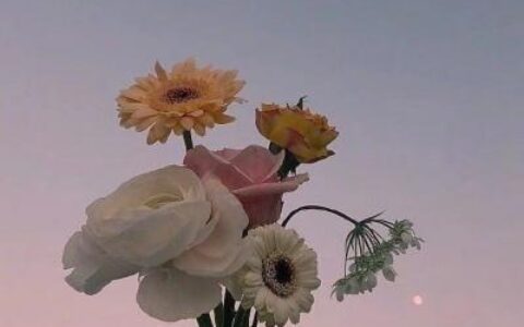 靠自己努力奋斗的网名大全（2020激励自己奋斗的网名）