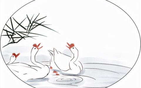 江南可采莲经典咏流传（江南可采莲的故事）