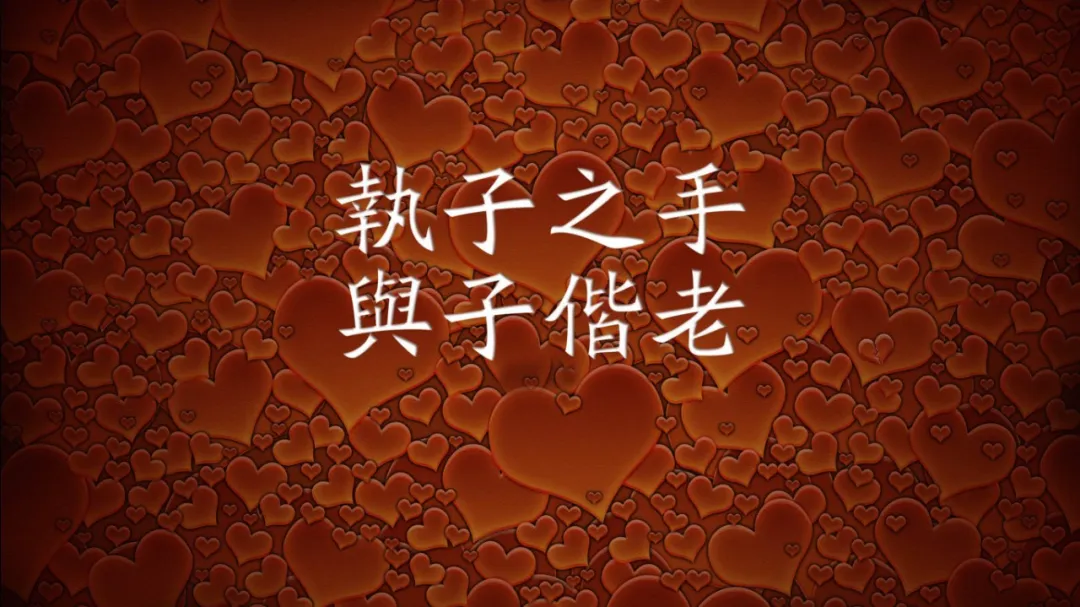 诗经爱情诗执着（最美的20句爱情诗）