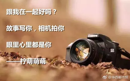 最美的短情诗现代（最能打动人心的短情书大全）