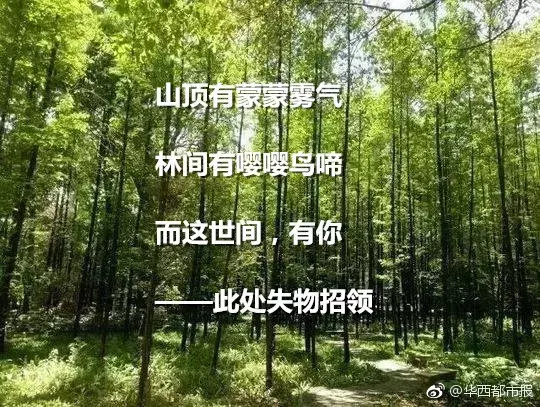 最美的短情诗现代（最能打动人心的短情书大全）