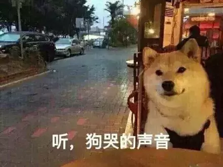 最美的短情诗现代（最能打动人心的短情书大全）