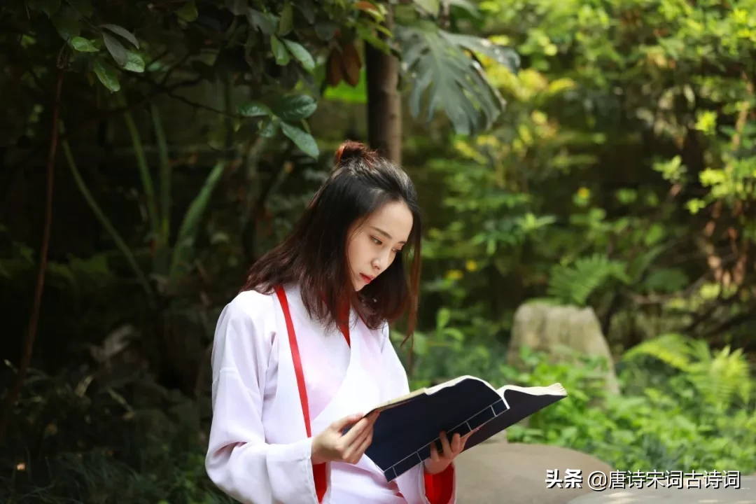 关于读书的现代诗（赞美读书的现代诗歌）