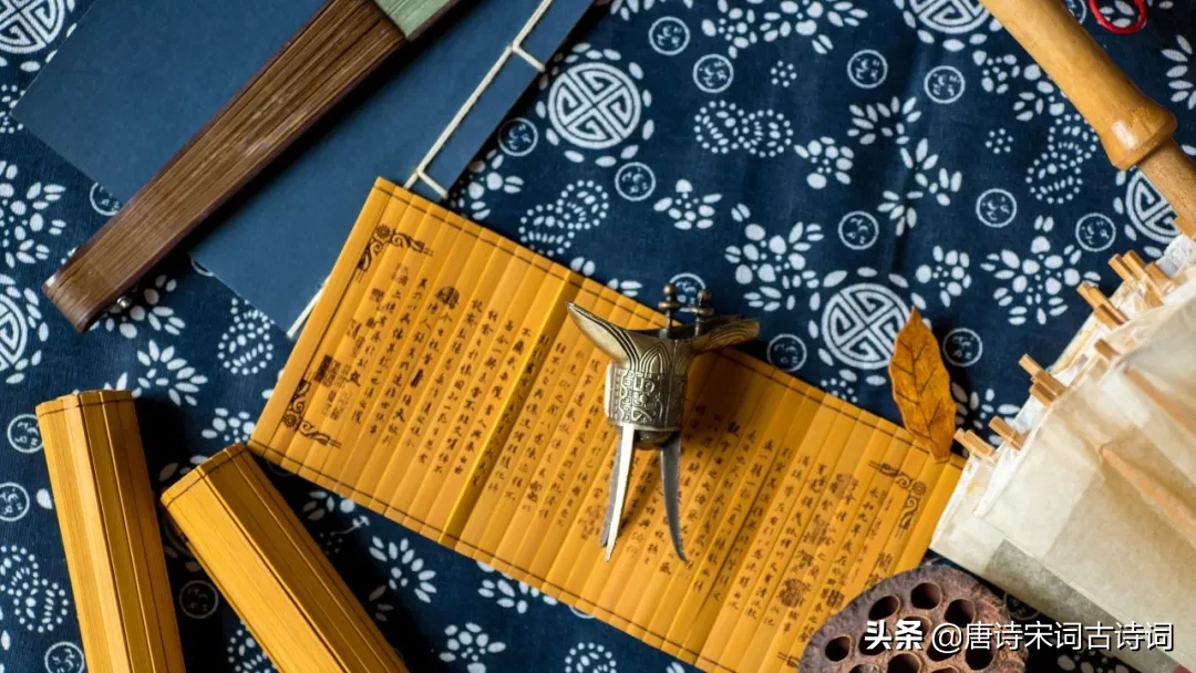 关于读书的现代诗（赞美读书的现代诗歌）
