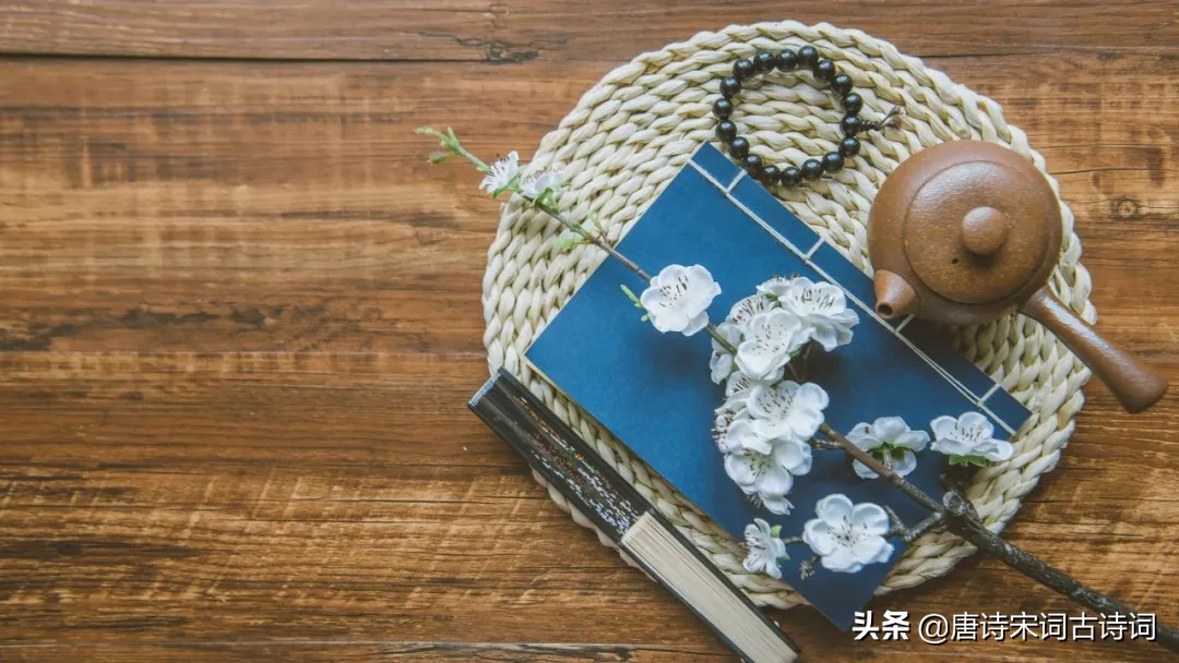 关于读书的现代诗（赞美读书的现代诗歌）