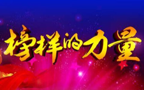 榜样的力量优美句子（描写榜样的力量的优美语句）