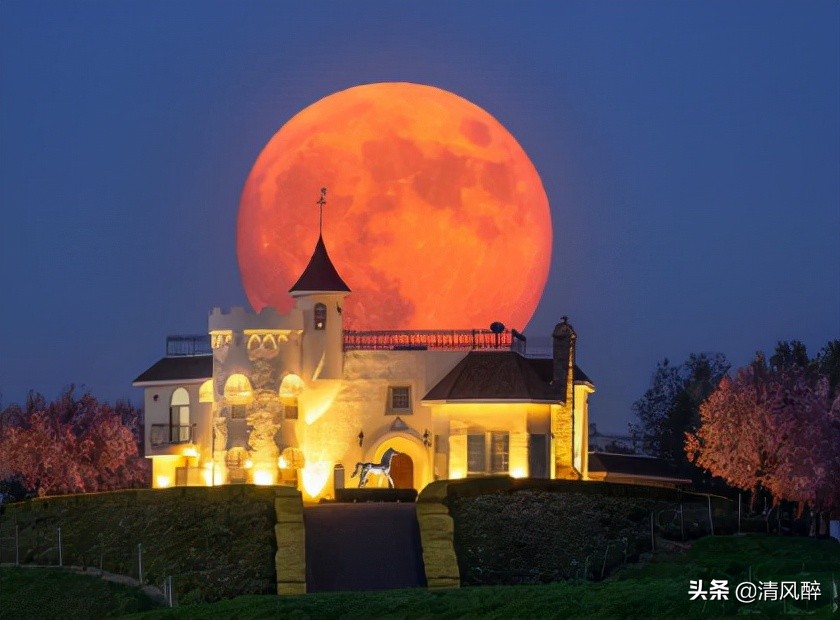 失恋的句子说说心情（特别委屈想哭的句子）