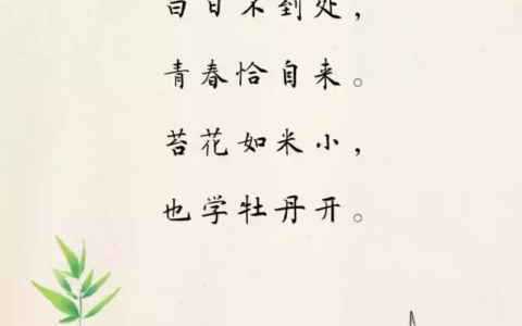 苔花如米小也学牡丹开（苔所表达的人生哲理）