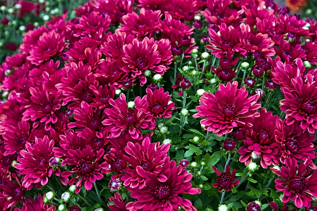 感触很深的句子及感悟（2021最火感悟人生短句）