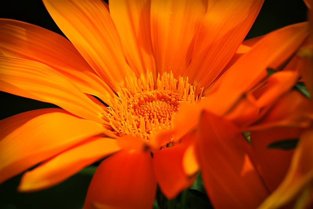 感触很深的句子及感悟（2021最火感悟人生短句）