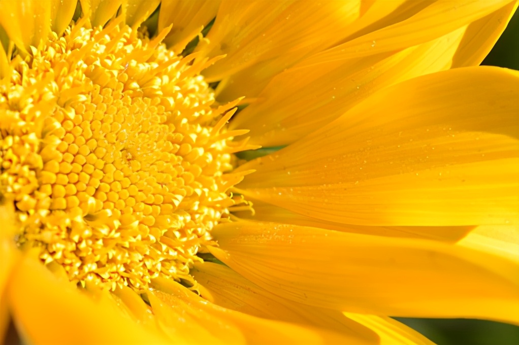 感触很深的句子及感悟（2021最火感悟人生短句）