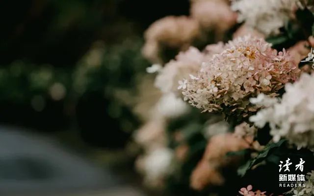 哲理句子人生感悟（简短高深哲理句子）