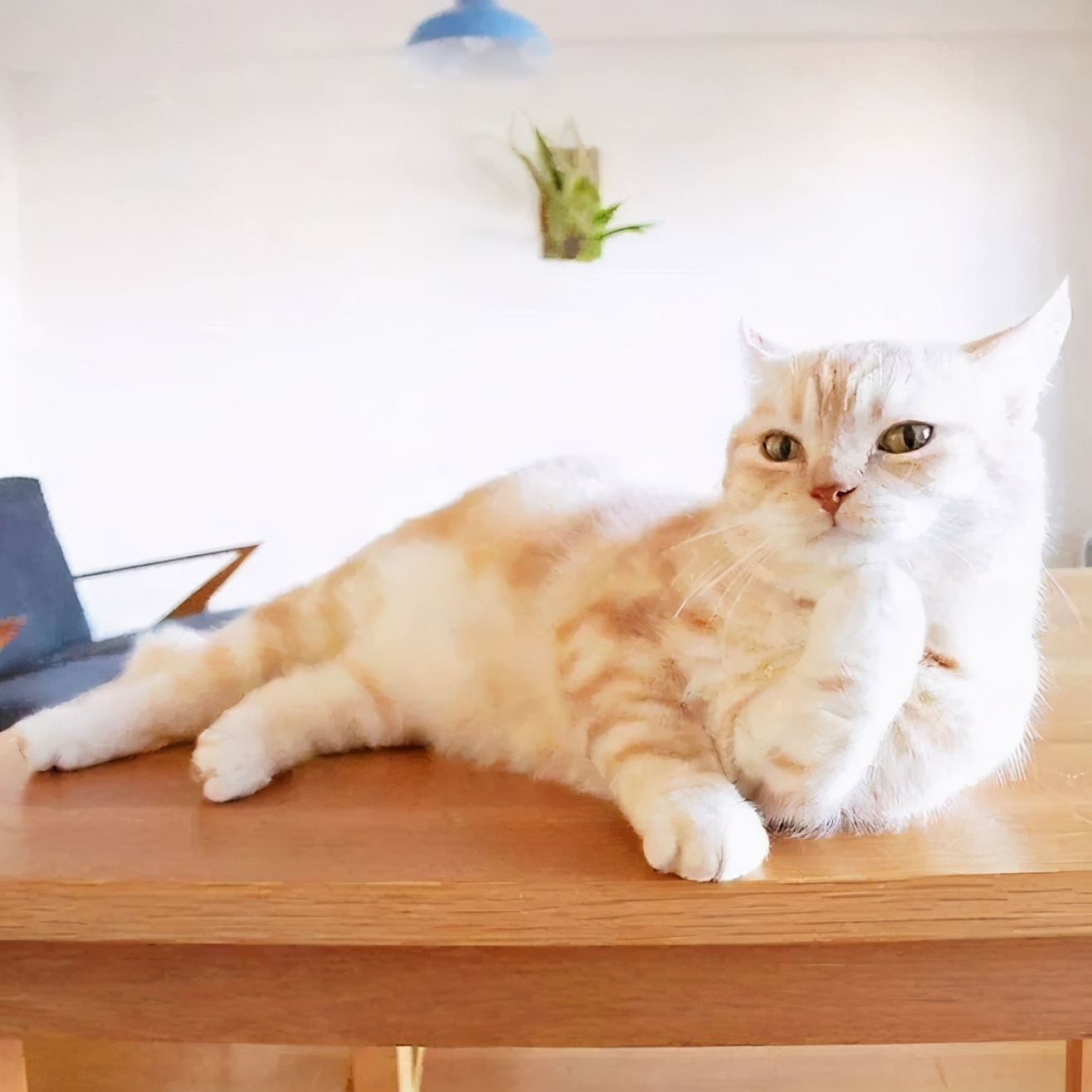 沐浴阳光优美的句子（沐浴阳光正能量的句子）