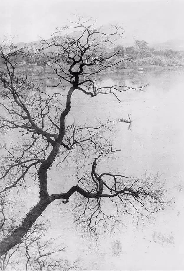 情人怨遥夜什么意思（望月怀远古诗词赏析）