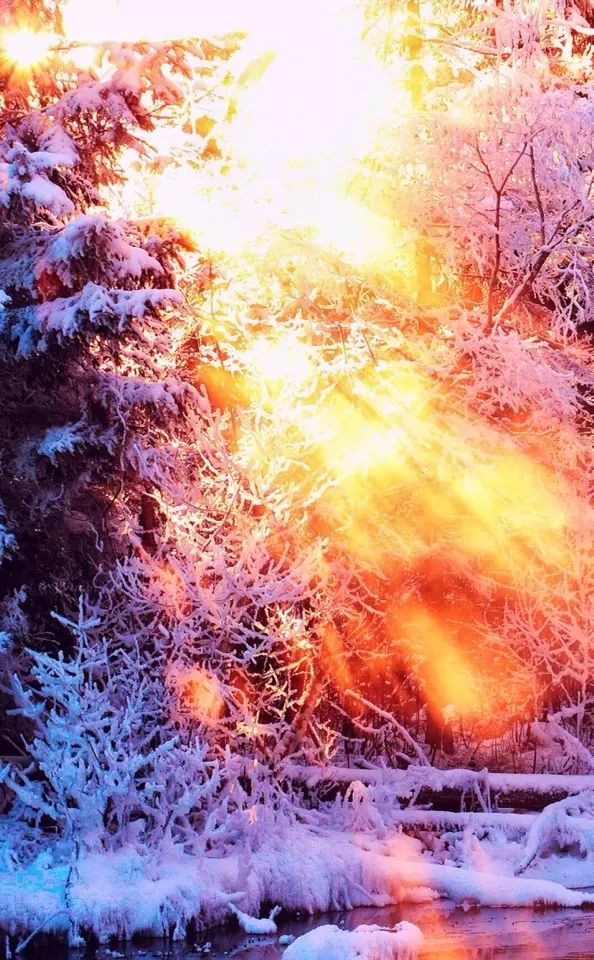 关于感恩的诗歌（关于感恩的现代诗）