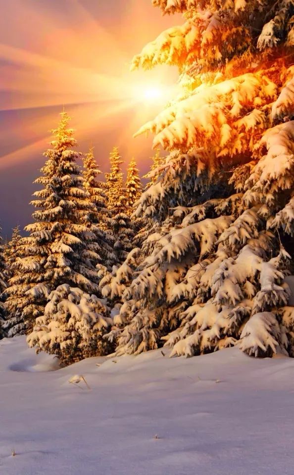 关于感恩的诗歌（关于感恩的现代诗）