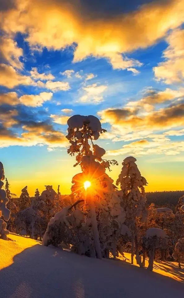 关于感恩的诗歌（关于感恩的现代诗）