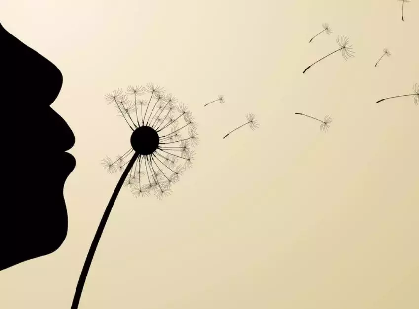 描写风的诗句有哪些（描写风比较有诗意的句子）