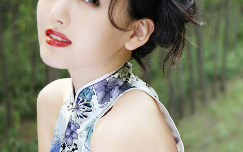 苏轼水调歌头明月几时有赏析（水调歌头创作背景介绍）