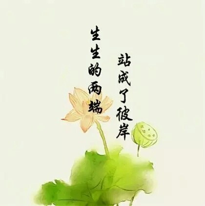 美句美段摘抄大全（适合抄在摘抄本上的句子）