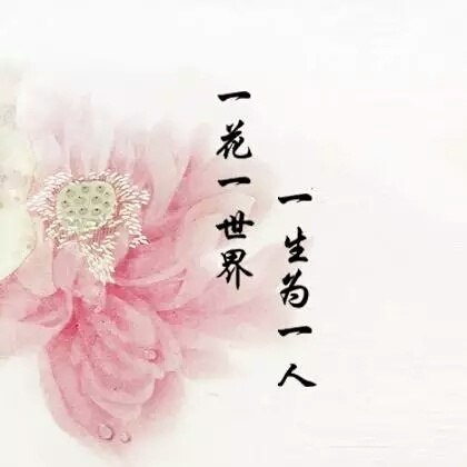 美句美段摘抄大全（适合抄在摘抄本上的句子）