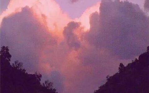 祝福两口子幸福的经典句子（唯美简短的真挚祝福语）