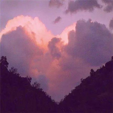 祝福两口子幸福的经典句子（唯美简短的真挚祝福语）